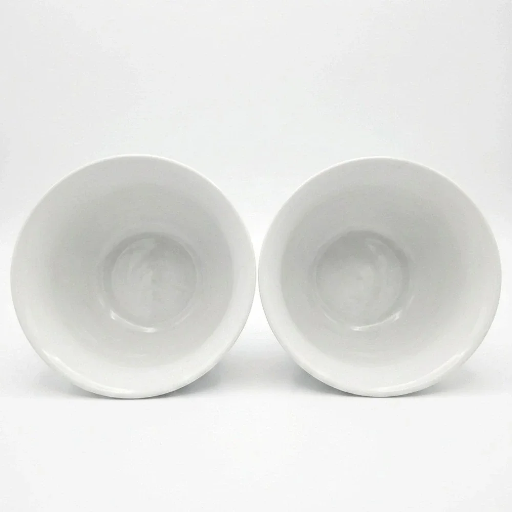Pottery Barn Outlet Suppertime White Ceramic Bowls Set of 2 Microwave Safe
